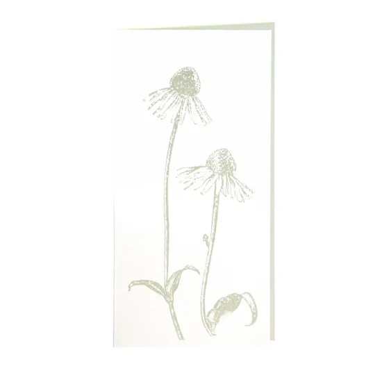 Bild von Grüßkarte CARD-ECHI-DIN-lang (10,5 x 21)