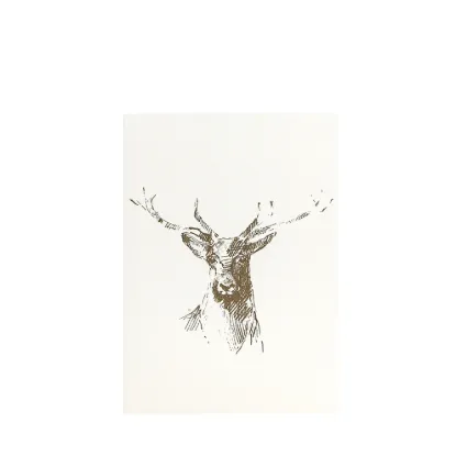 Bild von Grüßkarte CARD-DEERSCETCH-DIN-B6