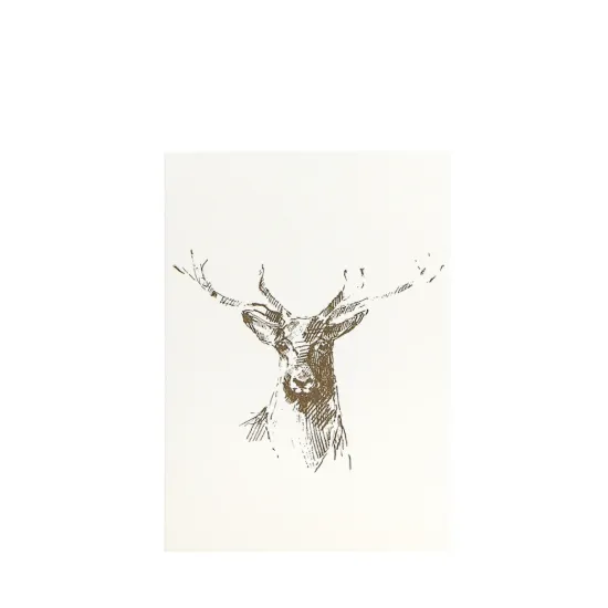 Bild von Grüßkarte CARD-DEERSCETCH-DIN-B6