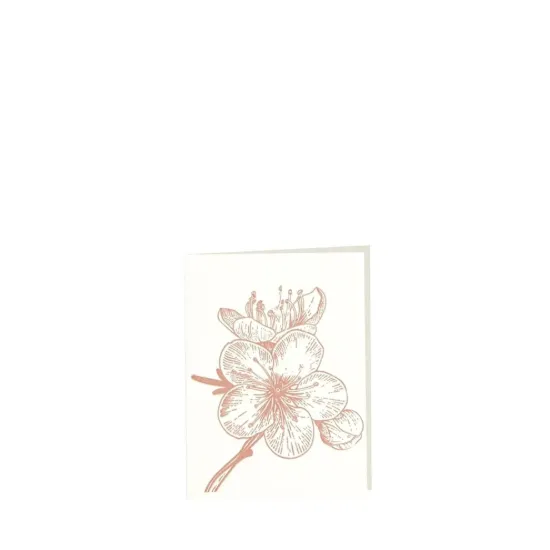 Bild von Grüßkarte CARD-CHERRY-small (9 x 12 )