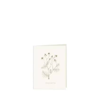 Bild von Grüßkarte CARD-CHAMOMILLA-small (9 x 12 )