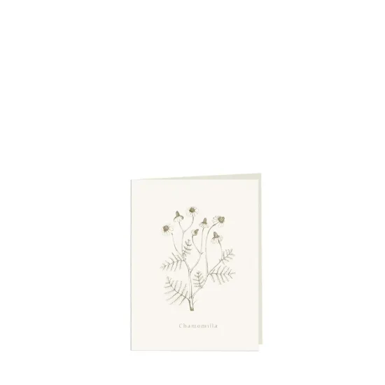Bild von Grüßkarte CARD-CHAMOMILLA-small (9 x 12 )