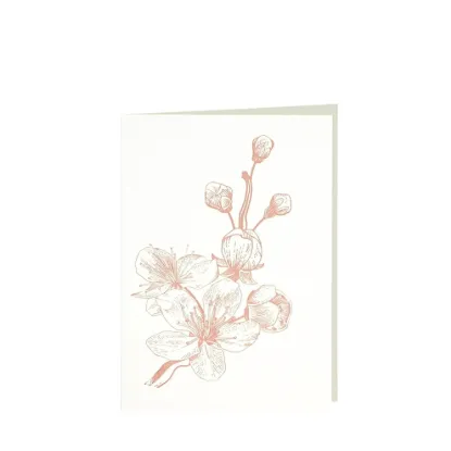 Bild von Grüßkarte CARD-CHERRY-DIN-B6 (12,5 x 17,6 )