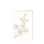 Bild von Grüßkarte CARD-CHERRY-DIN-B6 (12,5 x 17,6 )