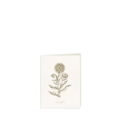 Bild von Grüßkarte CARD-CALENDULA-small (9 x 12 )