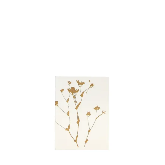 Bild von Grüßkarte CARD-CABBAGE-DIN-small