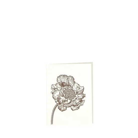 Bild von Grüßkarte CARD-BS-small (9 x 12 )