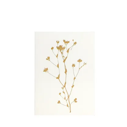 Bild von Grüßkarte CARD-CABBAGE-DIN-B6
