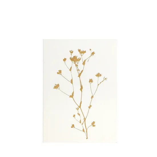 Bild von Grüßkarte CARD-CABBAGE-DIN-B6