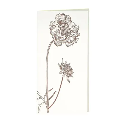 Bild von Grüßkarte CARD-BS-DIN-lang (10,5 x 21)