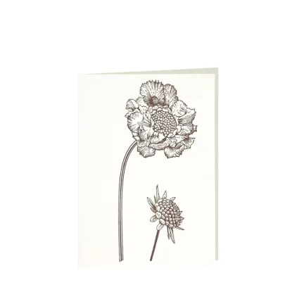 Bild von Grüßkarte CARD-BS-DIN-B6 (12,5 x 17,6 )