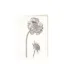 Bild von Grüßkarte CARD-BS-DIN-B6 (12,5 x 17,6 )