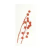 Bild von Grüßkarte CARD-ARONIA-DIN-lang