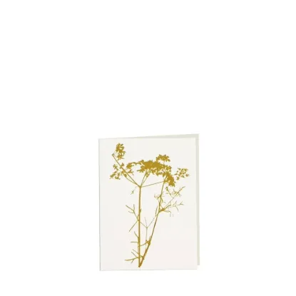 Bild von Grüßkarte CARD-ANETHUM-small (9 x 12 )