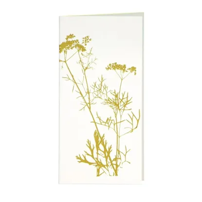 Bild von Grüßkarte CARD-ANETHUM-DIN-lang (10,5 x 21)