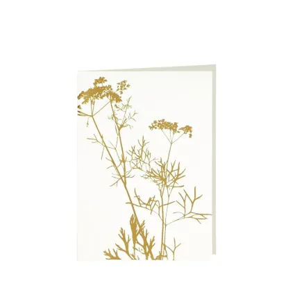 Bild von Grüßkarte CARD-ANETHUM-DIN-B6 (12,5 x 17,6 )