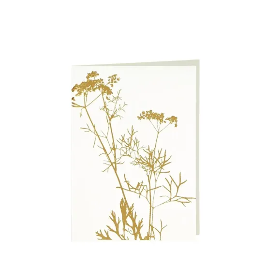 Bild von Grüßkarte CARD-ANETHUM-DIN-B6 (12,5 x 17,6 )