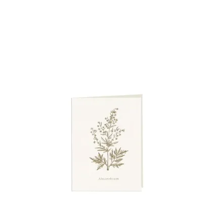 Bild von Grüßkarte CARD-ABSINTHIUM-small (9 x 12 )