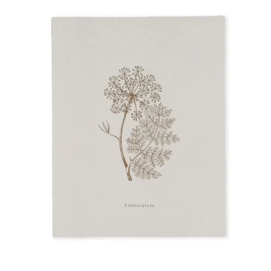 Bild von Notizbuch BOOK-FOENICULUM (18 x 23)