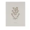 Bild von Notizbuch BOOK-HYPERICUM (18 x 23)
