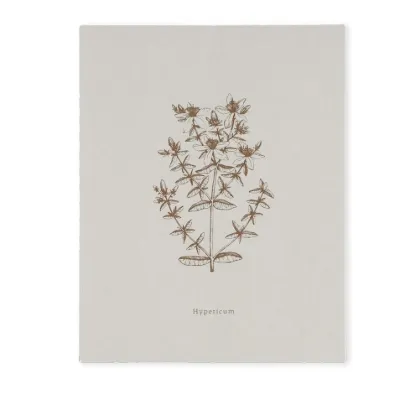Bild von Notizbuch BOOK-HYPERICUM (18 x 23)