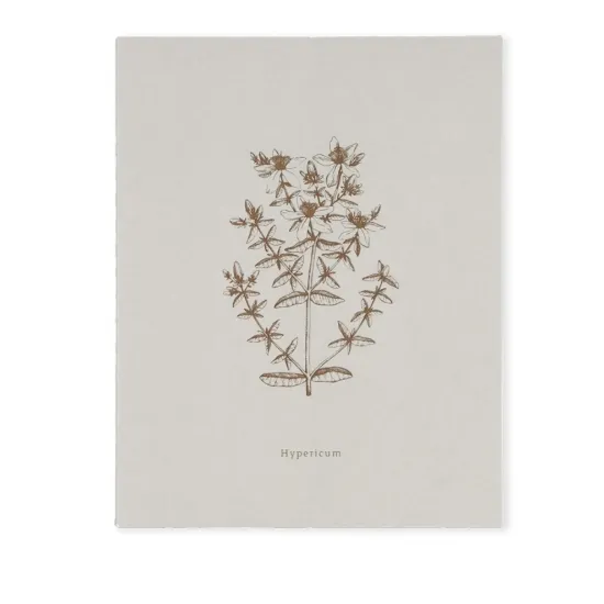 Bild von Notizbuch BOOK-HYPERICUM (18 x 23)