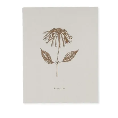 Bild von Notizbuch BOOK-ECHINACEA (18 x 23)