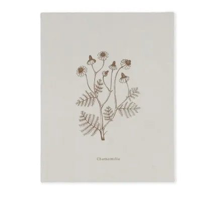 Bild von Notizbuch BOOK-CHAMOMILLA (18 x 23)