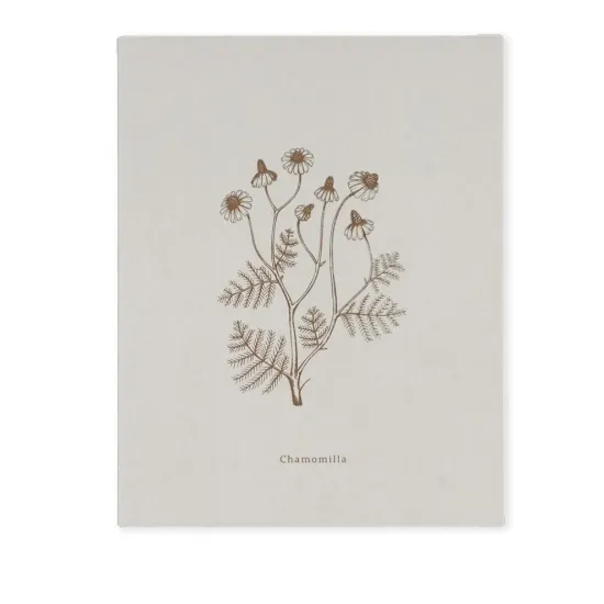 Bild von Notizbuch BOOK-CHAMOMILLA (18 x 23)
