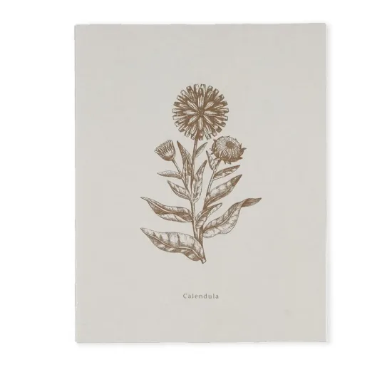 Bild von Notizbuch BOOK-CALENDULA (18 x 23)