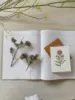 Bild von Grüßkarte CARD-CALENDULA-small (9 x 12 )