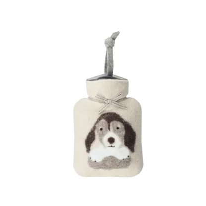 Bild von Beagle WFXS-BG30