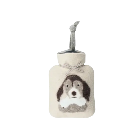 Bild von Beagle WFXS-BG30