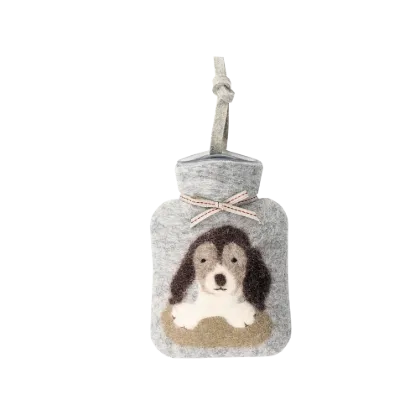 Bild von Beagle WFXS-BG02