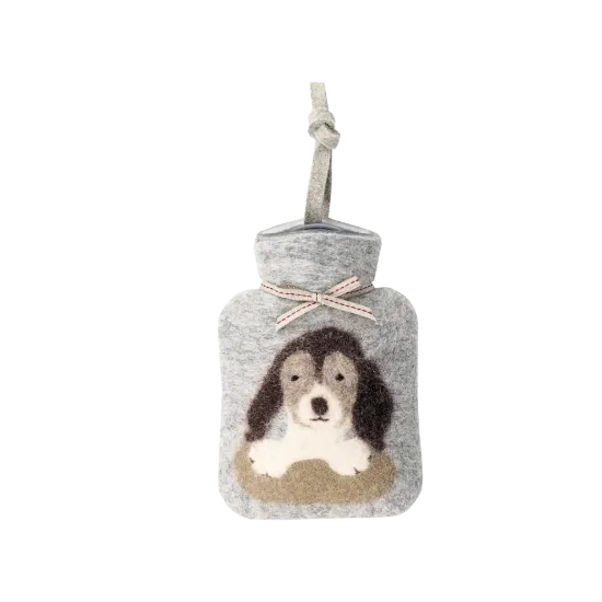 Bild von Beagle WFXS-BG02