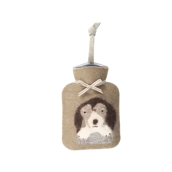 Bild von Beagle WFXS-BG90