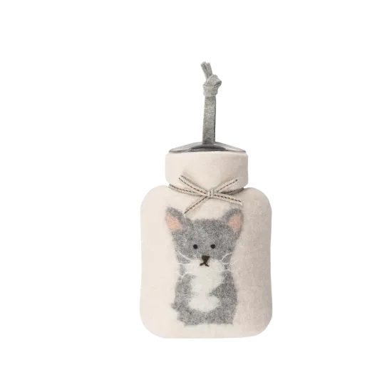 Bild von Kitty WFXS-KY30