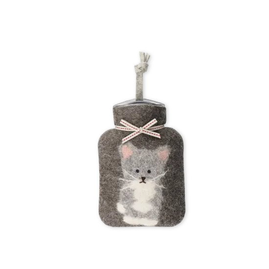 Bild von Kitty WFXS-KY83