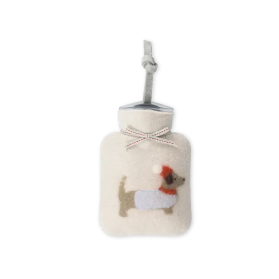 Bild von Winterdackel WFXS-WD3054