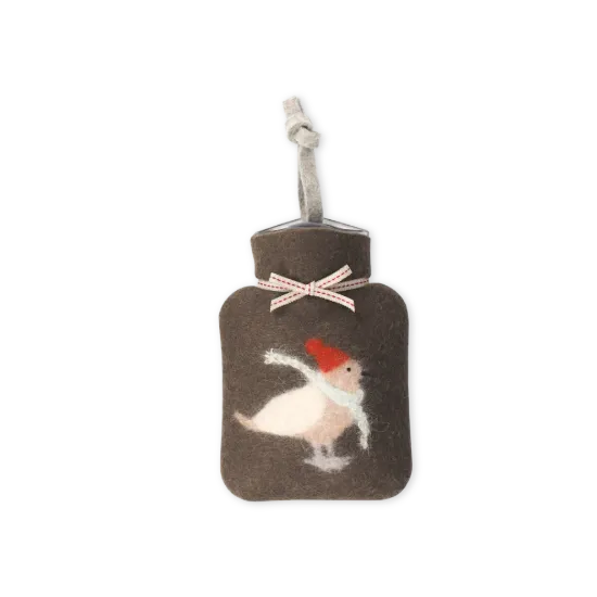 Bild von Wintervogel WFXS-WV64